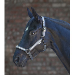 Cabezada Waldhausen Reflex Stripe