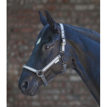 Cabezada Waldhausen Reflex Stripe