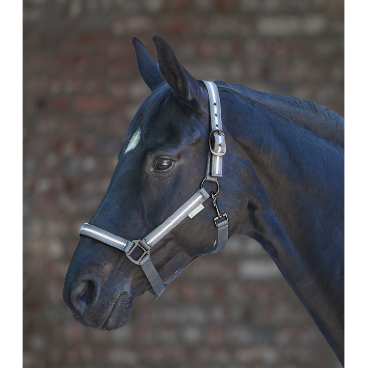 Cabezada Waldhausen Reflex Stripe
