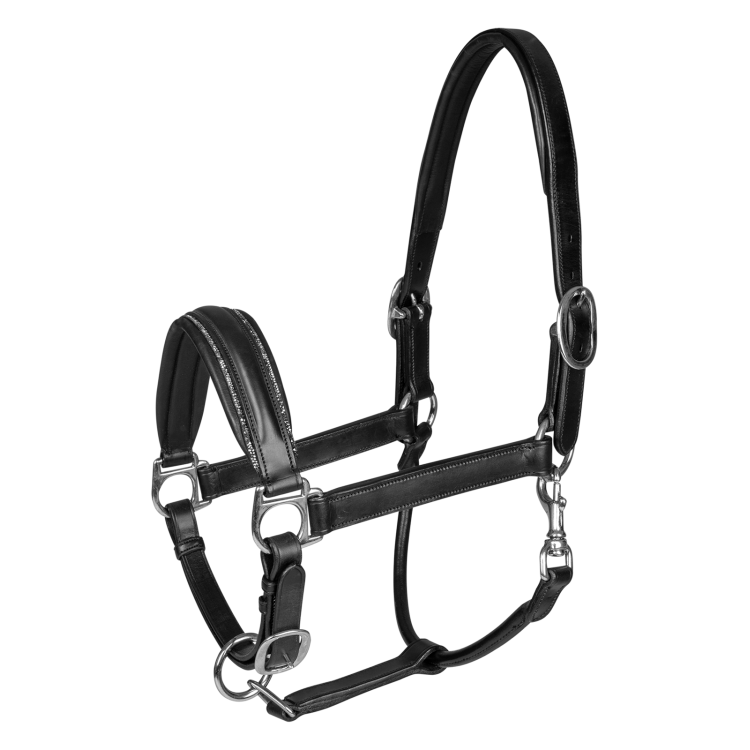 Cabezada Waldhausen S-Line de cuero Glamour