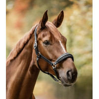 Cabezada Waldhausen S-Line de cuero Glamour Negro