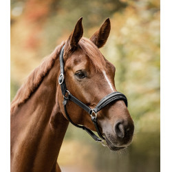 Cabezada Waldhausen S-Line de cuero Glamour Negro