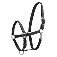 Cabezada Waldhausen Satin Negro
