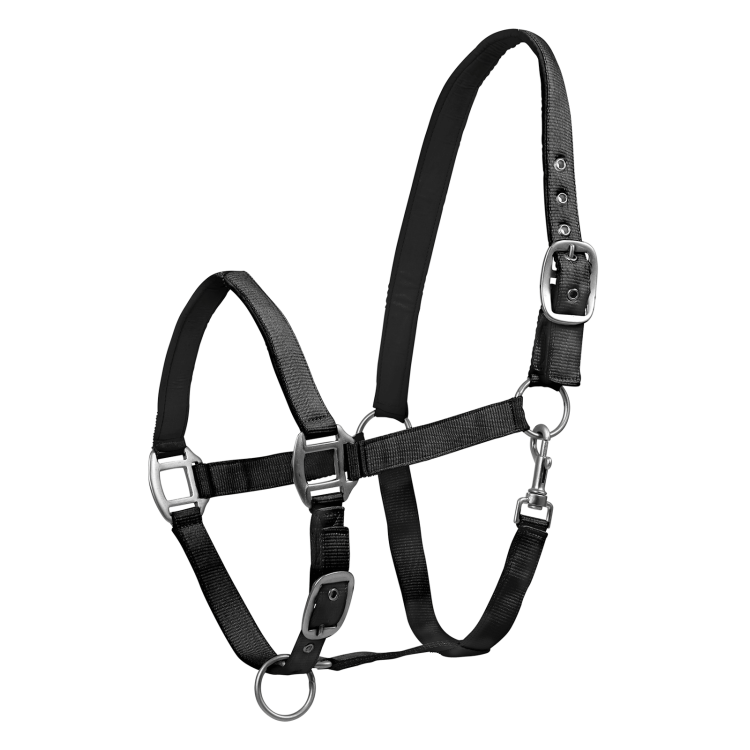 Cabezada Waldhausen Satin