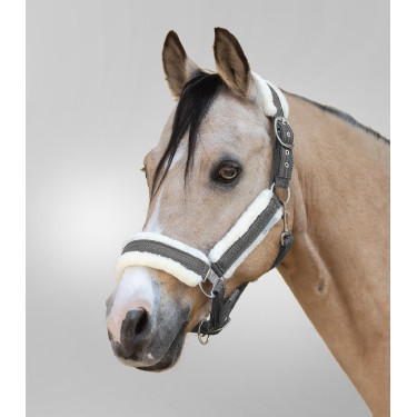 Cabezada Waldhausen Sparkle Gris