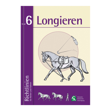 Libro Waldhausen Directrices Volumen 6 Más largo
