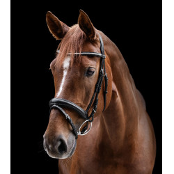 Brida Clincher Waldhausen X-Line Negro