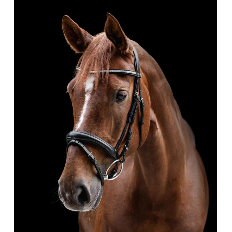 Brida Clincher Waldhausen X-Line Brida Clincher Waldhausen X-Line