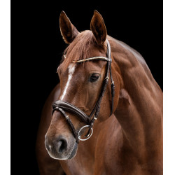 Brida Clincher Waldhausen X-Line Castaño Marr&amp;oacute;n