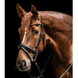 Brida favorita Waldhausen X-Line Negro