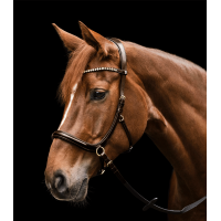 Cabezada sin bocado Sensation Waldhausen X-Line Castaño Marrón