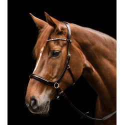 Cabezada sin bocado Sensation Waldhausen X-Line Castaño Marrón
