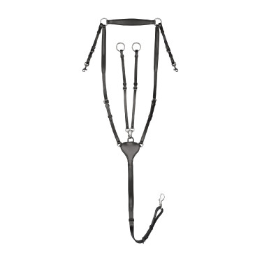 Pechopetral Waldhausen Professional X-Line Negro Pechopetral Waldhausen Professional X-Line Negro