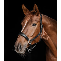 Cabezada de cuero Waldhausen anatomic S-Line Negro