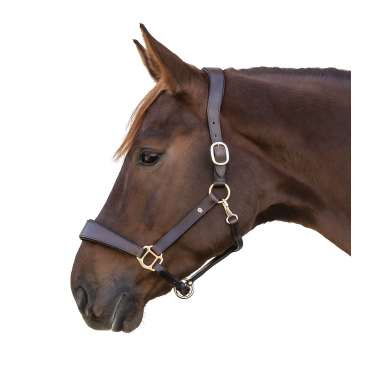 Cabezada de cuero Waldhausen anatomic S-Line Castaño Marr&amp;amp;amp;oacute;n