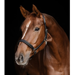 Cabezada de cuero Waldhausen Classy X-Line Negro / plata