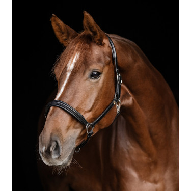 Cabezada de cuero Waldhausen Classy X-Line Negro / plata