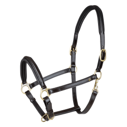 Cabezada de cuero Waldhausen Classy X-Line Marrón / dorado