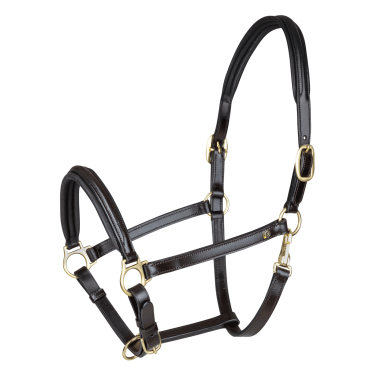 Cabezada de cuero Waldhausen Classy X-Line Marrón / dorado