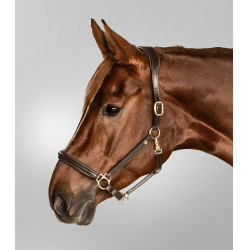 Cabezada de cuero Waldhausen Classy X-Line Marrón / dorado