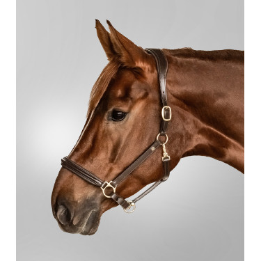 Cabezada de cuero Waldhausen Classy X-Line Marrón / dorado