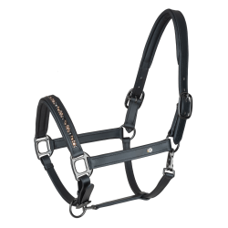 Cabezada de cuero Waldhausen Crystal X-Line