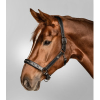 Cabezada de cuero Waldhausen Crystal X-Line Negro / Gris Cabezada de cuero Waldhausen Crystal X-Line Negro / Gris