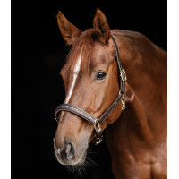 Cabezada de cuero Waldhausen Crystal X-Line Marrón / oro