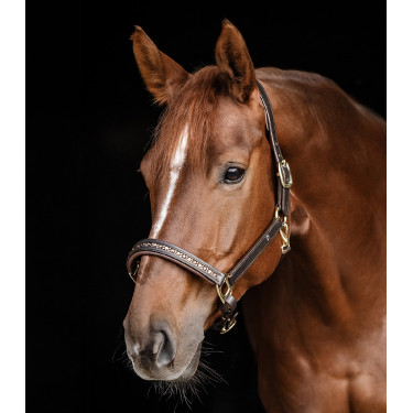 Cabezada de cuero Waldhausen Crystal X-Line Marrón / oro