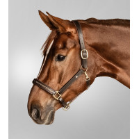 Cabezada de cuero Waldhausen Crystal X-Line Negro / Gris