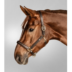 Cabezada de cuero Waldhausen Crystal X-Line Marrón / oro