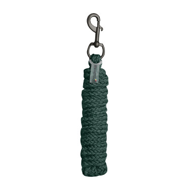 Cuerda de sujeción Waldhausen Gloomy con mosquetón estándar Verde abeto