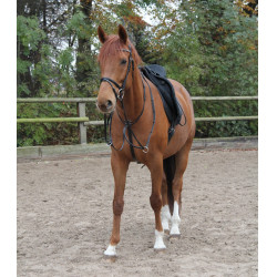 Martingala Waldhausen X-Line Negro