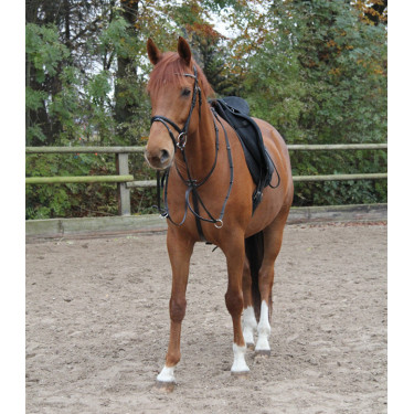 Martingala Waldhausen X-Line Negro