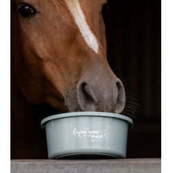 Tartera pequeña Waldhausen con tapa Riendas
