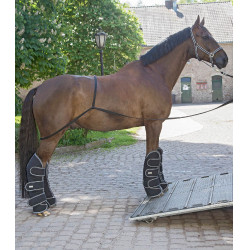 Rampa Waldhausen camión