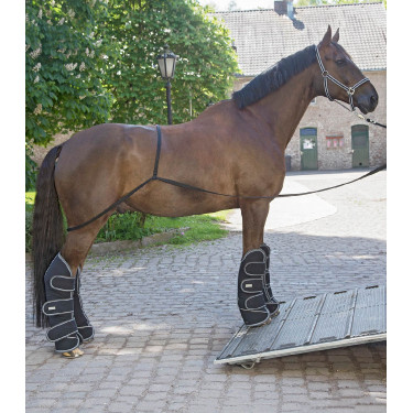 Rampa Waldhausen camión