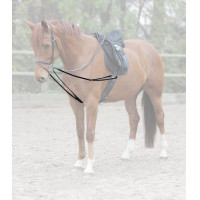 Riendas vienesas Waldhausen X-Line Negro Riendas vienesas Waldhausen X-Line Negro