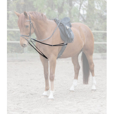 Riendas vienesas Waldhausen X-Line Negro