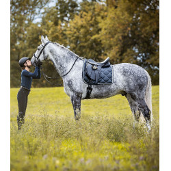 Silla de doma Waldhausen Premium de cuero Negro