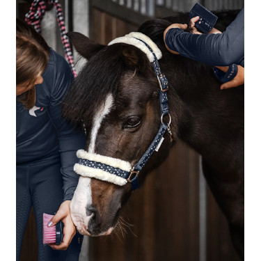 Set de cabezada Waldhausen Lucky Azul nocturno / lucky