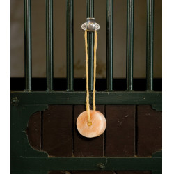 Soporte especial Waldhausen metal Gris