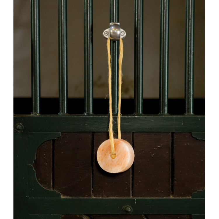 Soporte especial Waldhausen metal Soporte especial Waldhausen metal