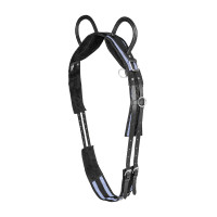 Cinchuelo Waldhausen 2 asas Negro / Gris