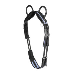 Cinchuelo Waldhausen 2 asas Negro / Gris