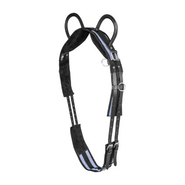 Cinchuelo Waldhausen 2 asas Negro / Gris