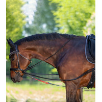 Riendas triangulares W-train Waldhausen Negro