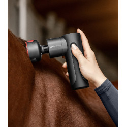 Waldhausen Health + Care Pro Hot & Cold massageapparaat Negro / Gris Waldhausen Health + Care Pro Hot & Cold massageapparaat Negro / Gris