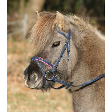 Novia Estrella Unicornio 2 Novia Estrella Unicornio 2