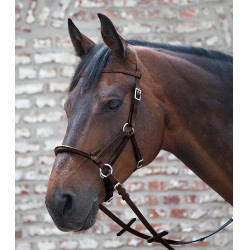 Brida sin bocado Linda Tellington-Jones Castaño Marrón